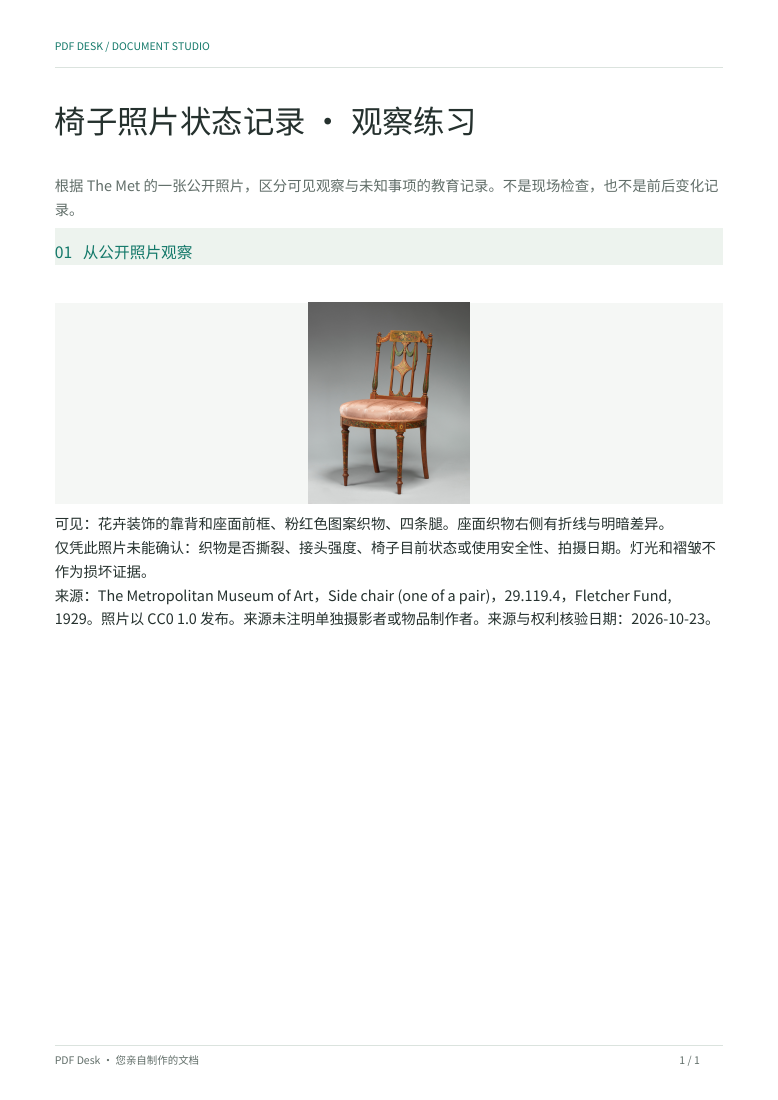 实际生成的照片状态记录 PDF
